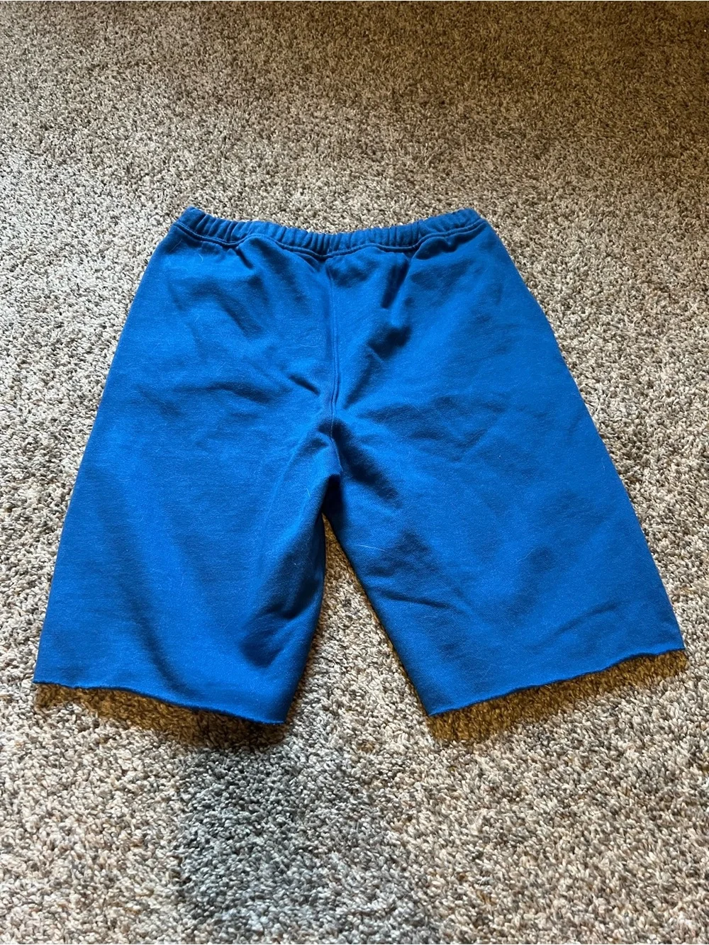 Free People Blue Athletic Fleece Shorts
